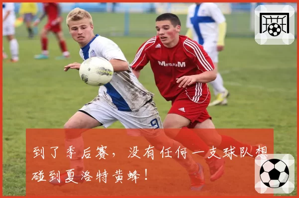 到了季后赛，没有任何一支球队想碰到夏洛特黄蜂！