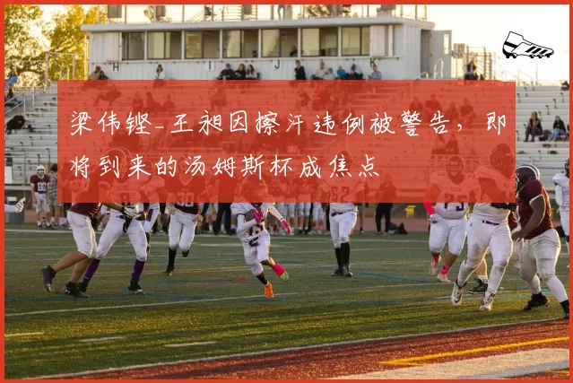 梁伟铿_王昶因擦汗违例被警告,即将到来的汤姆斯杯成焦点