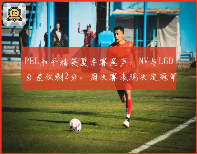 PEL和平精英夏季赛尾声,NV与LGD分差仅剩2分,周决赛表现决定冠军归属?
