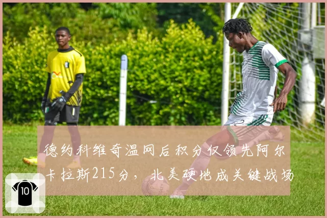 德约科维奇温网后积分仅领先阿尔卡拉斯215分，北美硬地成关键战场