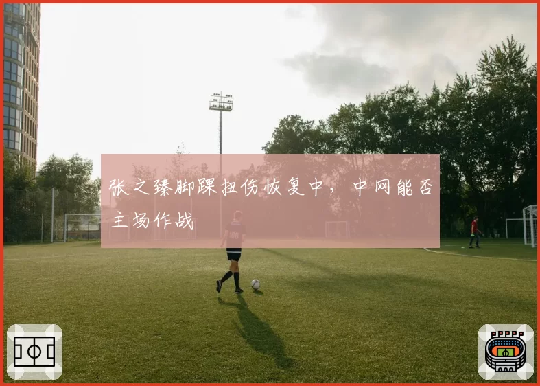 张之臻脚踝扭伤恢复中，中网能否主场作战