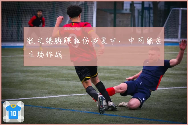 张之臻脚踝扭伤恢复中，中网能否主场作战