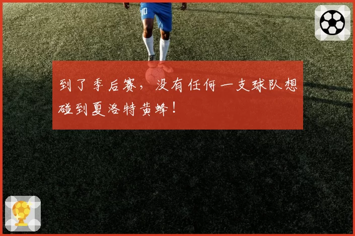 到了季后赛，没有任何一支球队想碰到夏洛特黄蜂！