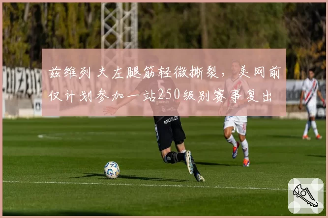 兹维列夫左腿筋轻微撕裂，美网前仅计划参加一站250级别赛事复出