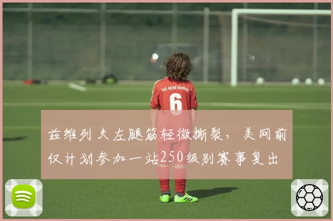 兹维列夫左腿筋轻微撕裂，美网前仅计划参加一站250级别赛事复出